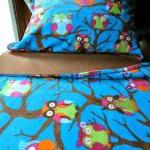 Toddler Fleece Blanket Set 'owls At..