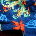 Chinese Dragons For Boys & Girls Cozy..