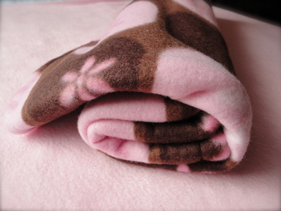 Baby Blanket / Fleece Toddler Blanket 'chocolate Silk' Bug Hug For Girls